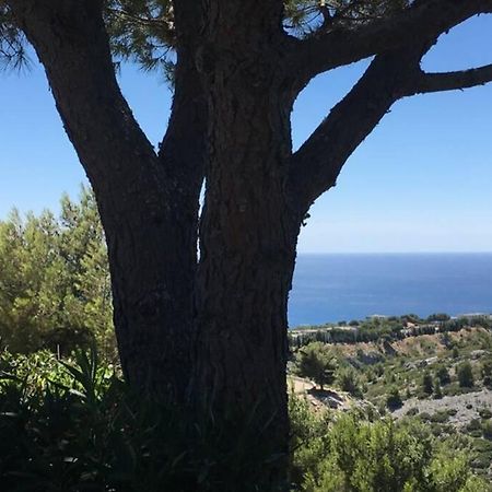 Magnifique Studio Cassis Exterior foto
